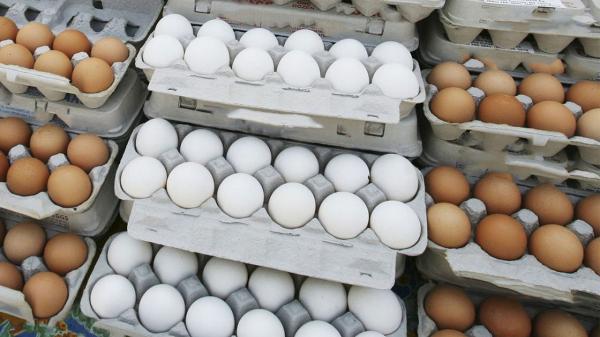 هرگونه افزایش قیمت تخم مرغ غیرقانونی است