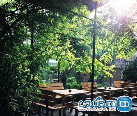 راهنمای کافه گردی در خیابان قصردشت شیراز: تحلیل رقابتی و راهنمای کافه گردی در خیابان قصردشت شیراز: تحلیل رقابتی و توصیه های هوشمندانه